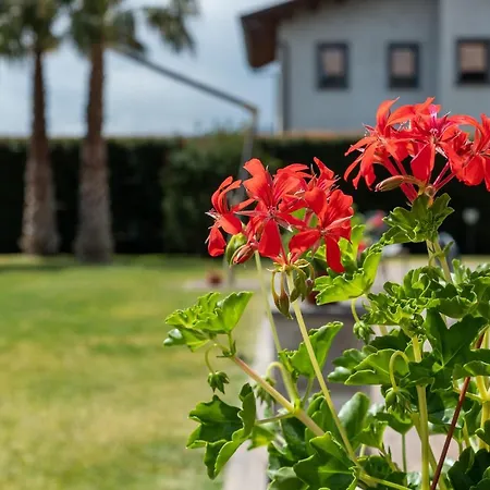 Casa Il Geranio *